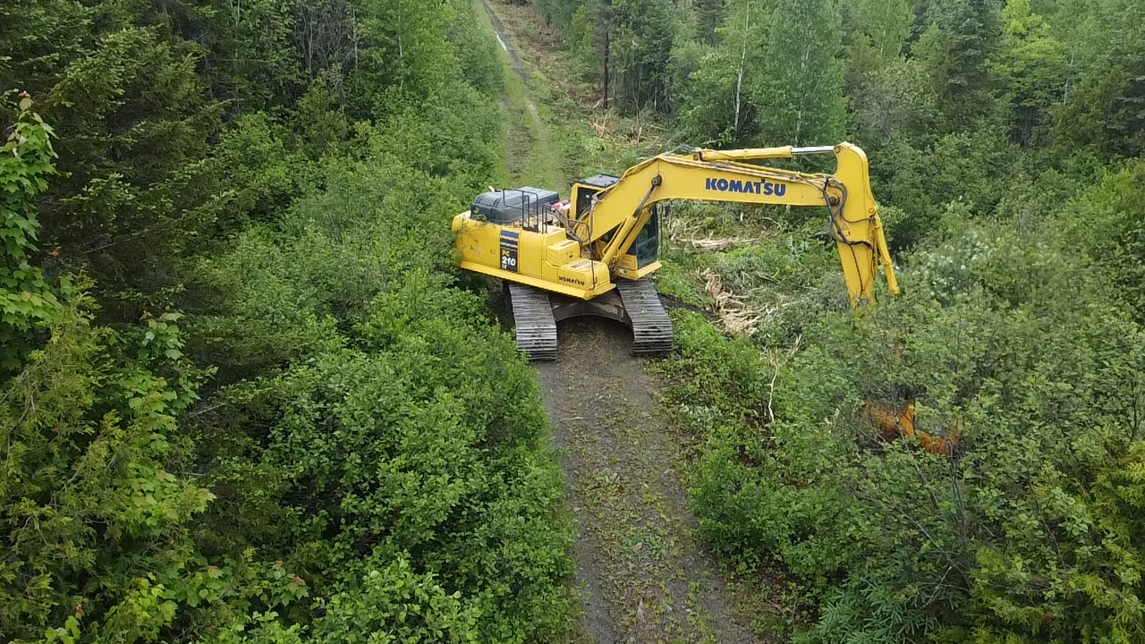 trimming back road