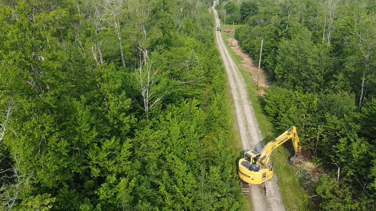 trimming back road