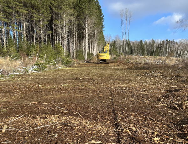 clearing field