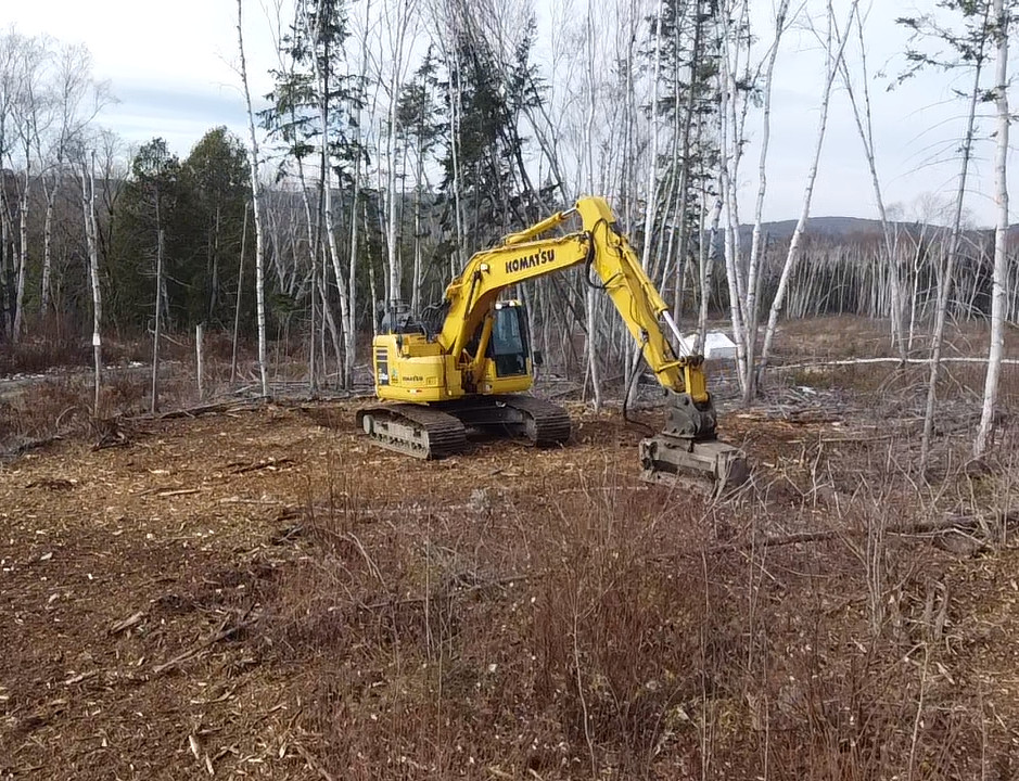 clearing brush