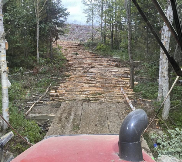 logging road